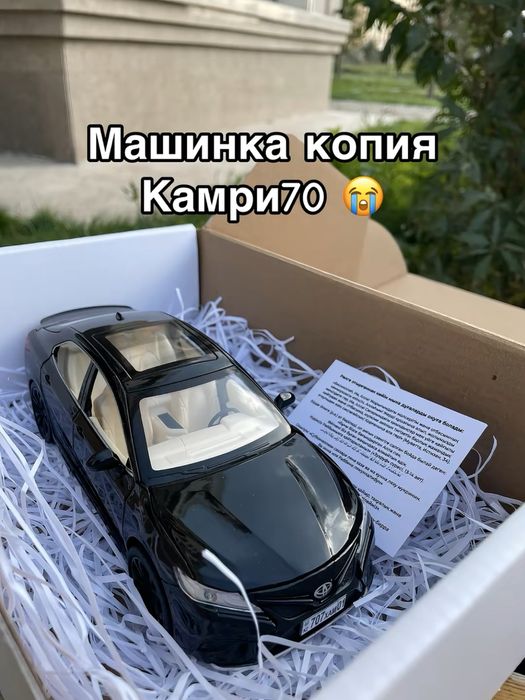 Франшиза по продаже игрушечных машинок с реальным госномером