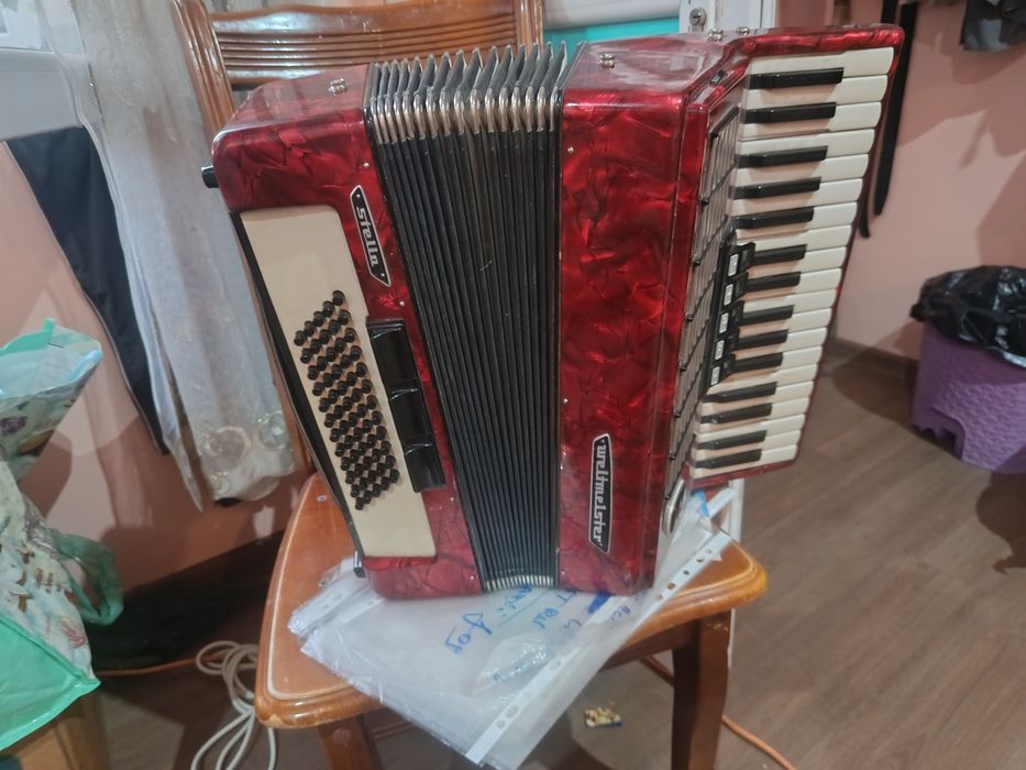 Acordeon de vinzare