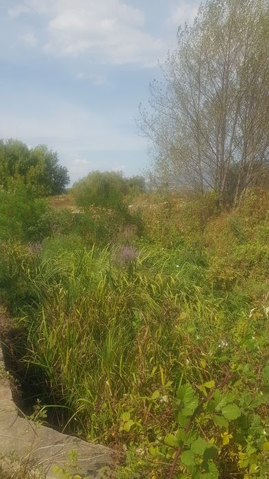 Продава се Парцел в Кочериново - 20300 кв.м за 4 €/кв.м - Снимка #2