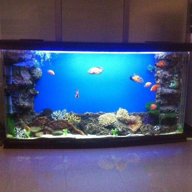 Аквариуми под заказ на любой вкус.