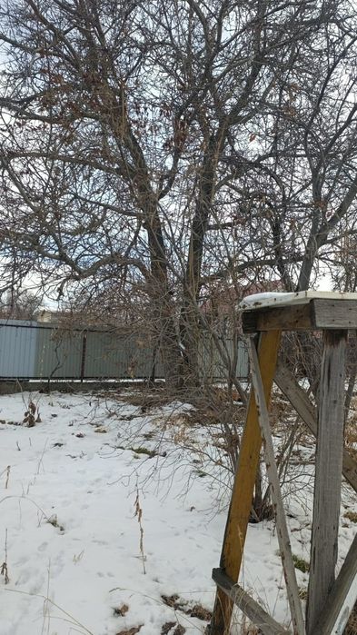 Продам срочно дачу