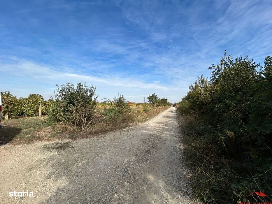Teren de vanzare 3704 mp, extravilan Odobesti