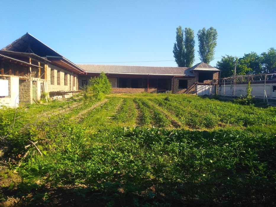 O'rtachirchiq tumani Qorasuvda uchastka xovli sotiladi