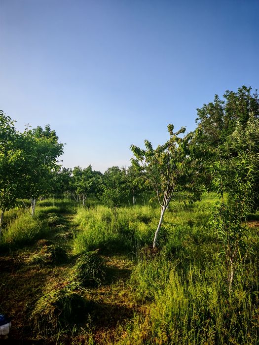Продается дом в Первомаевке (Бірінші Мамыр)