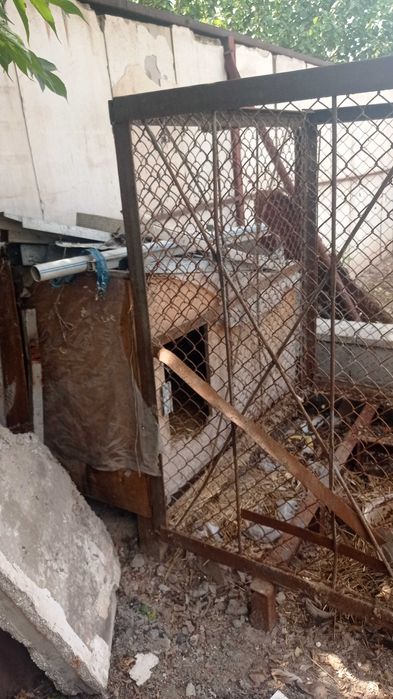 Продам вольер для сабаки