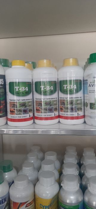 T 34 Optomga bor Klapa Tarakan Shira Bitlarga samarali vosita Клапа Та