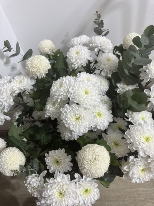 Цветочки получено сегодня