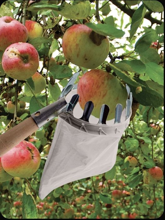 Плодосборник без палки