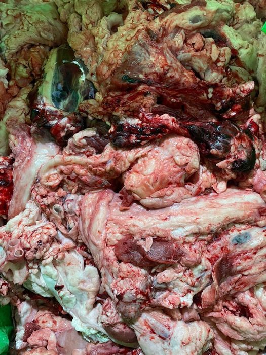 Говяжий жир для собак