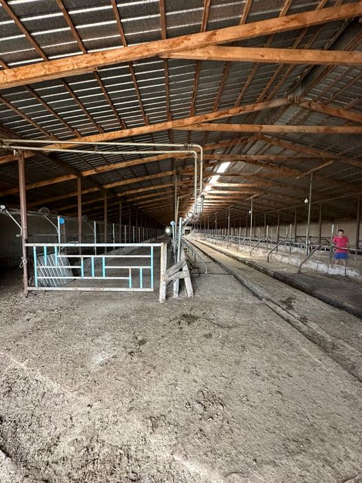 Продам крестьянское хозяйство фазенду