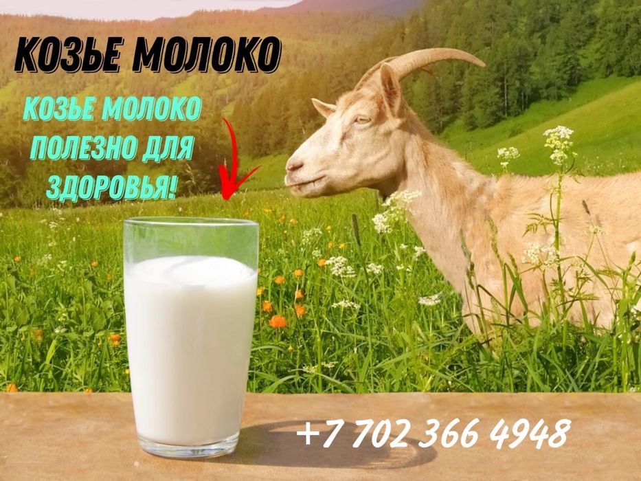Продам козье молоко от породистых коз