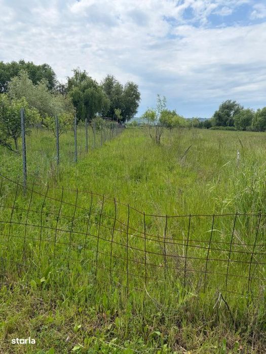 Teren de 6000 mp, vizavi de gara din Filiasi