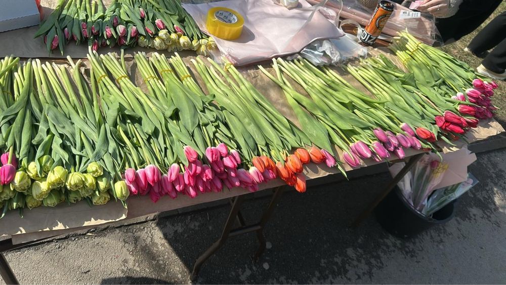 Тюльпаны голландские