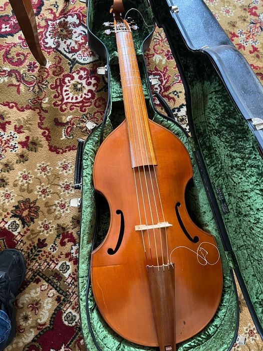 Viola da gamba , un instrument deosebit