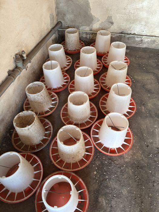 Кормушка для птиц