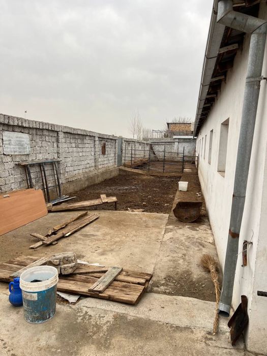 FERMA SOTILADI Qibray Arg’inda