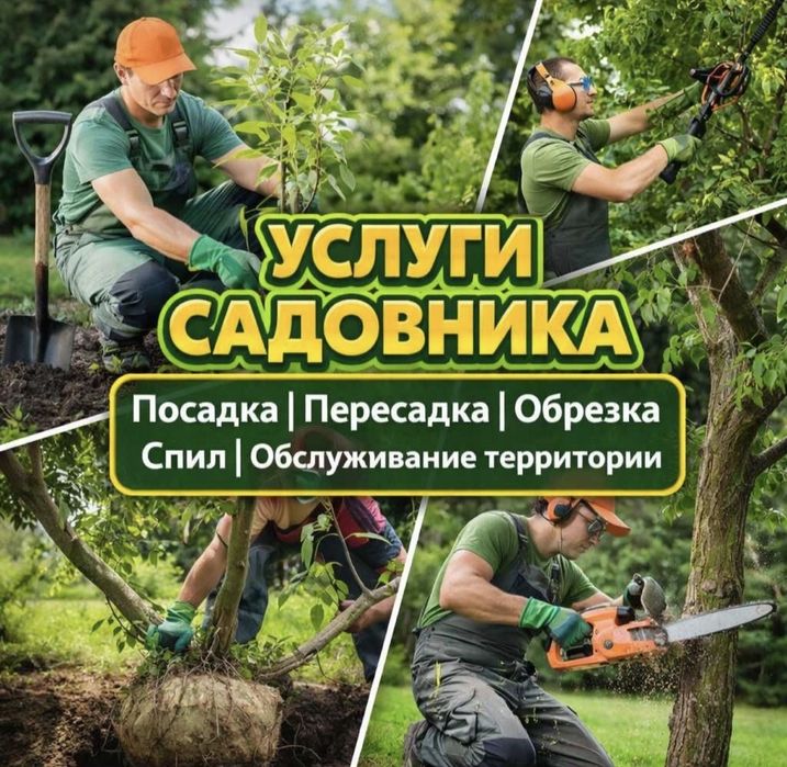Услуги озеленение проф