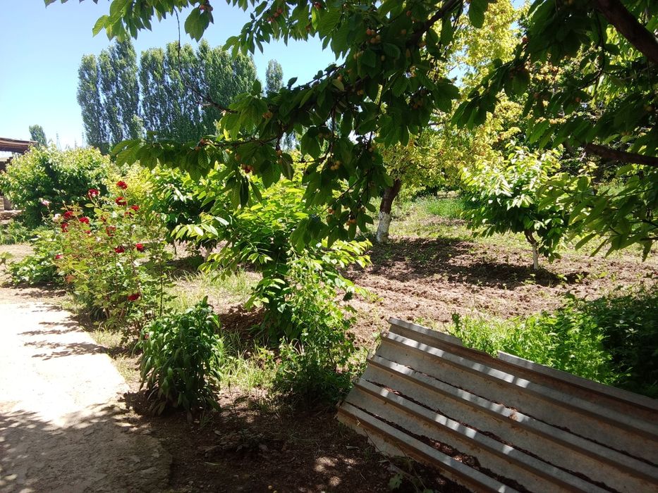 Дом в Бустанлыкском районе.