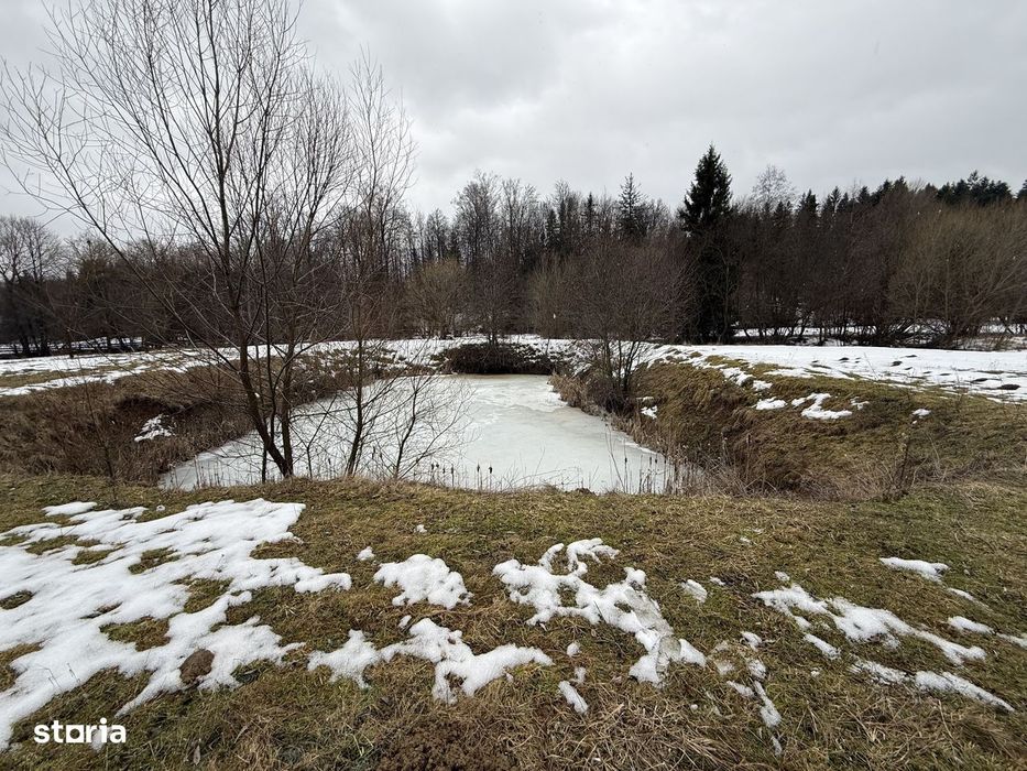 Teren extravilan | Horodnic De Sus | 3600MP