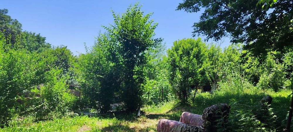 Земельный участок с домом в доль канала