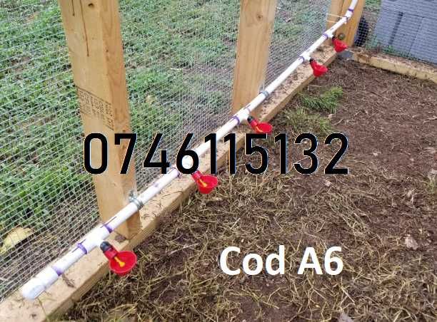 Gaini prepelițe porumbei rate gâște fazan pui- ADAPATORI AUTOMATE - A6