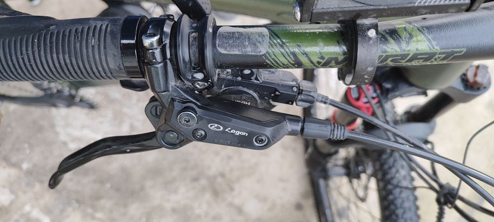 Велик Мурат горный.