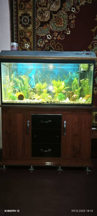 Аквариум комплект 200 литров