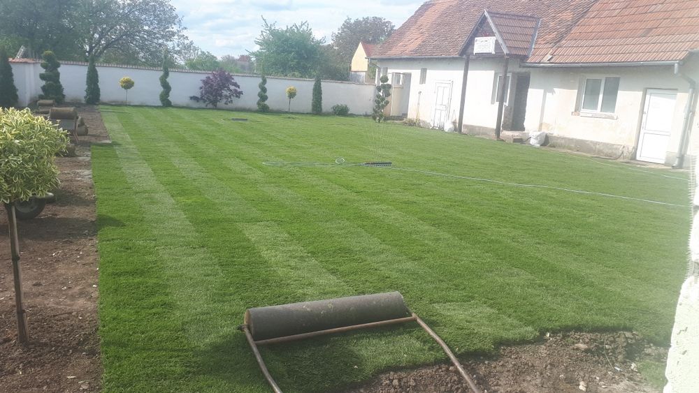 Fericirea la mp gazon rulou