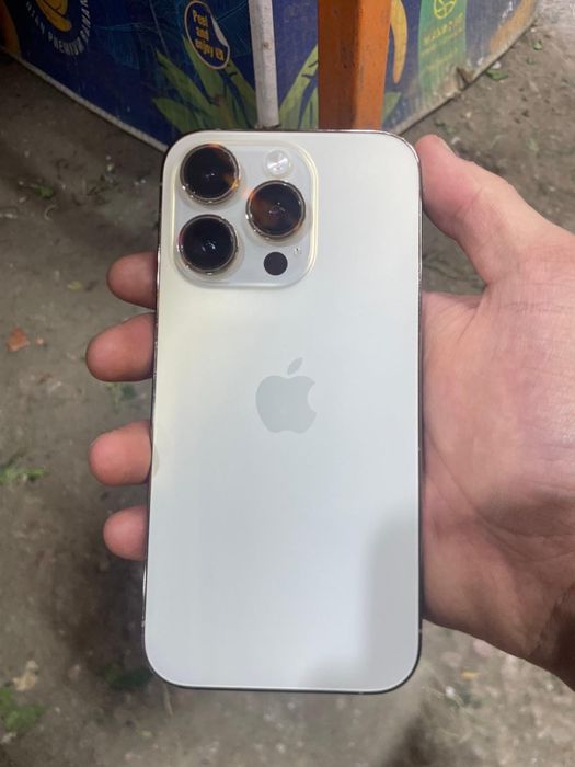 Прожада 14 про 256