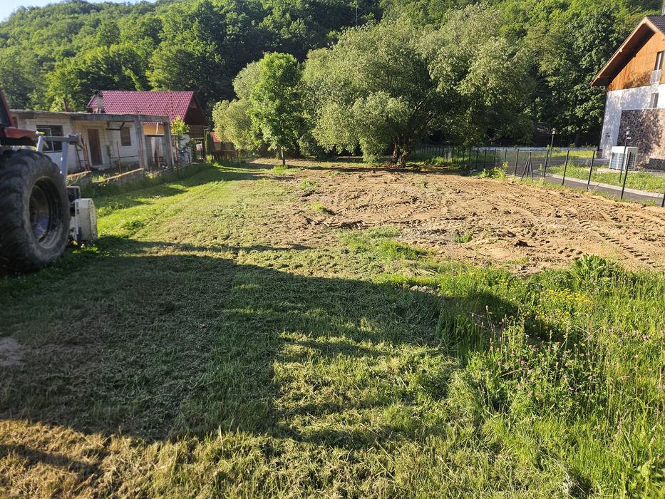Teren de vânzare Pădurea Neagra județul Bihor