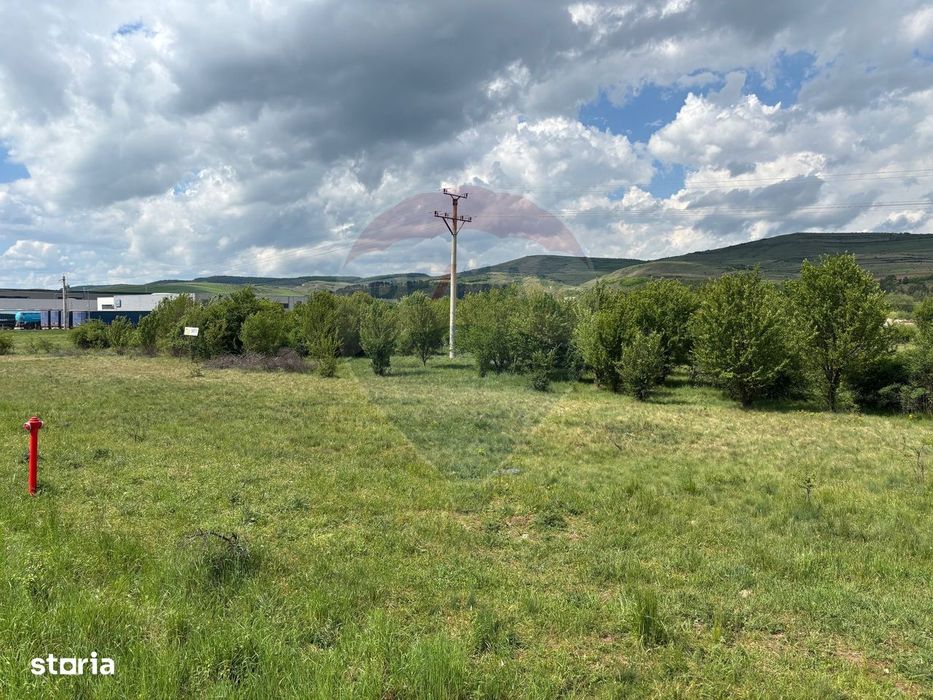Teren de vanzare 13783mp, front la DN, parcela unica zona de vest