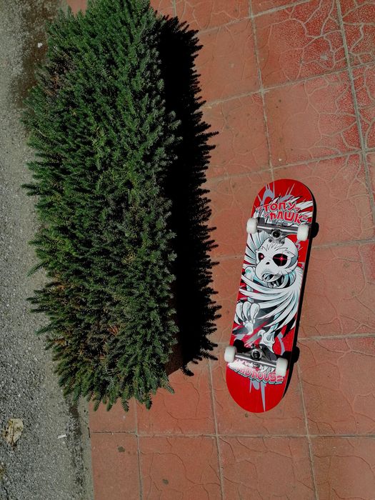 Скейтборд Birdhouse Tony Hawk