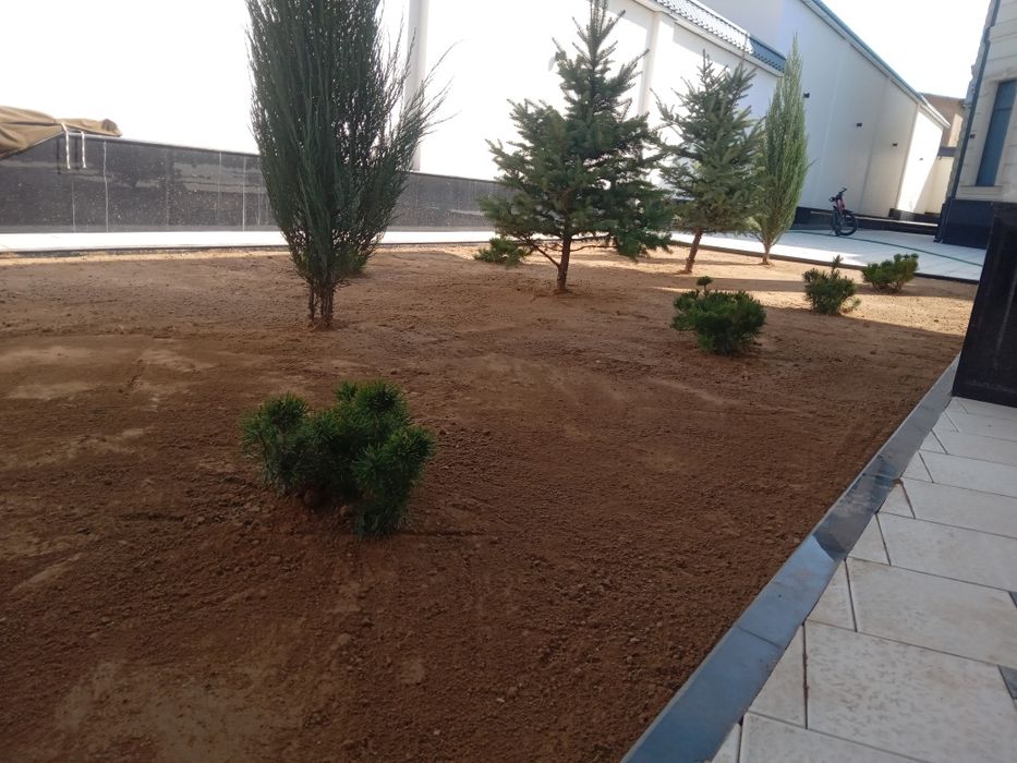 Газон Автополив 500тг