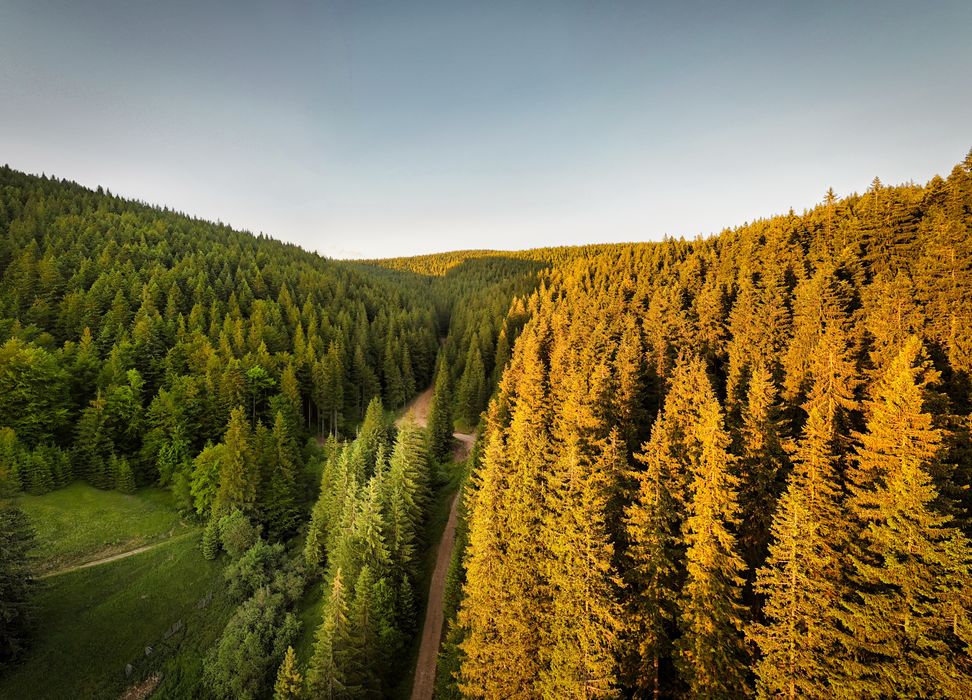 Drona-filmari aeriene