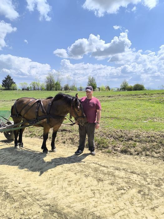 Noatină de vânzare