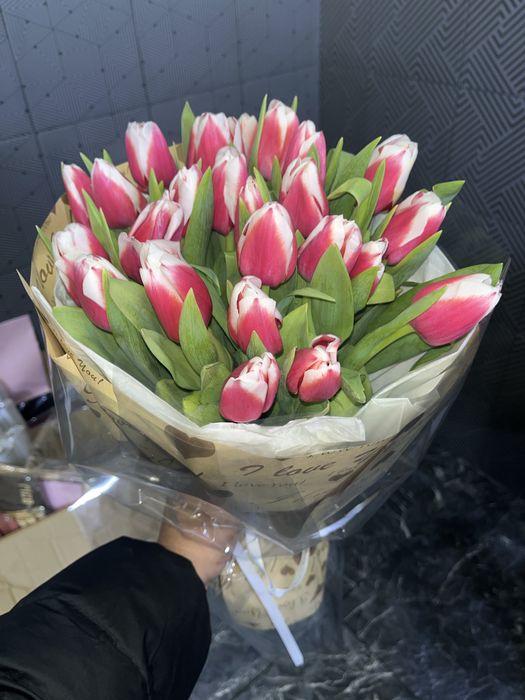 Тюльпаны по 700-800 тг