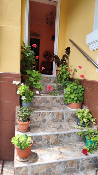 Casa de vânzare 5 camere  plus 3,5 ha pământ .com. Scundu Sat Blejani