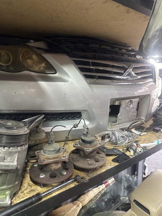 Ноускат на Марк Х