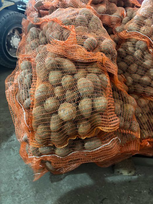 cartofi consum de vanzare