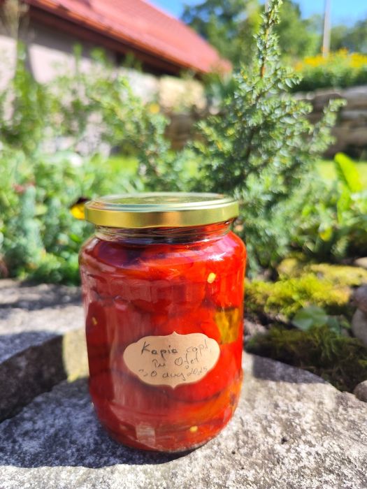 Zacusca, murături și alte conserve pt iarna