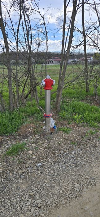 Snagov Ciofliceni Pădure