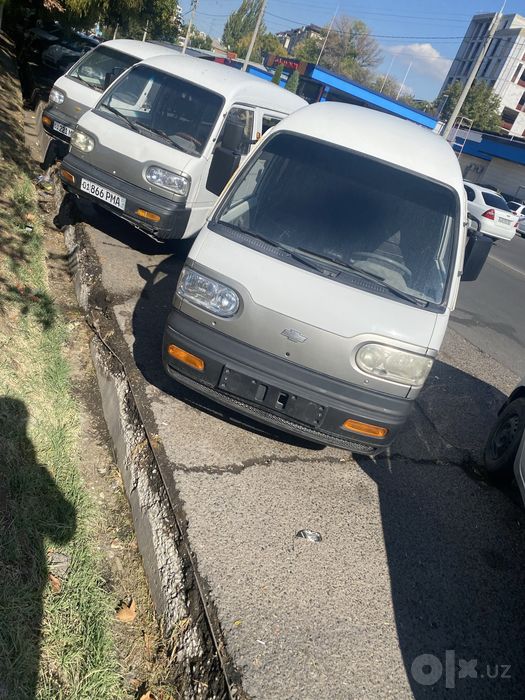 Damaz 2021 gazi bor