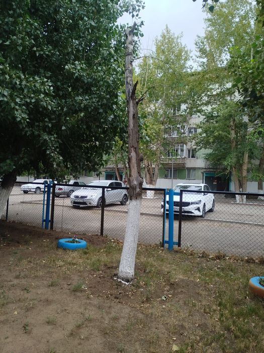 Отдам на дрова бесплатно,распил и самовывоз