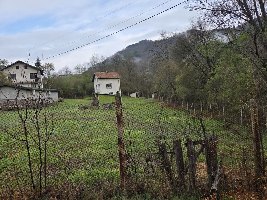 Почистване на запустели парцели ,дворове и терени