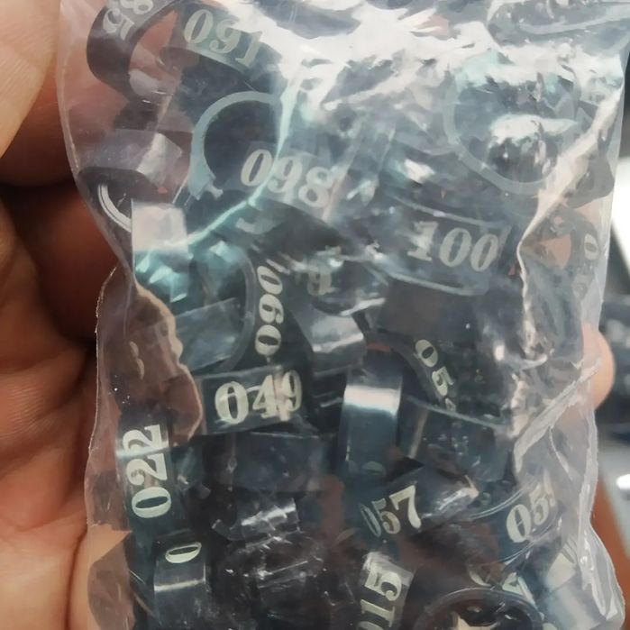 Кольца для птиц голубь перепел