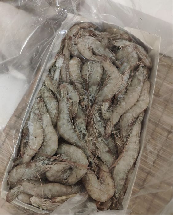 Креветки,тигровые креветки,морепродукты