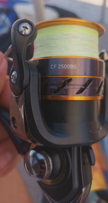 Mulineta Daiwa noua