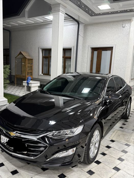 Malibu 2 Primer 2022