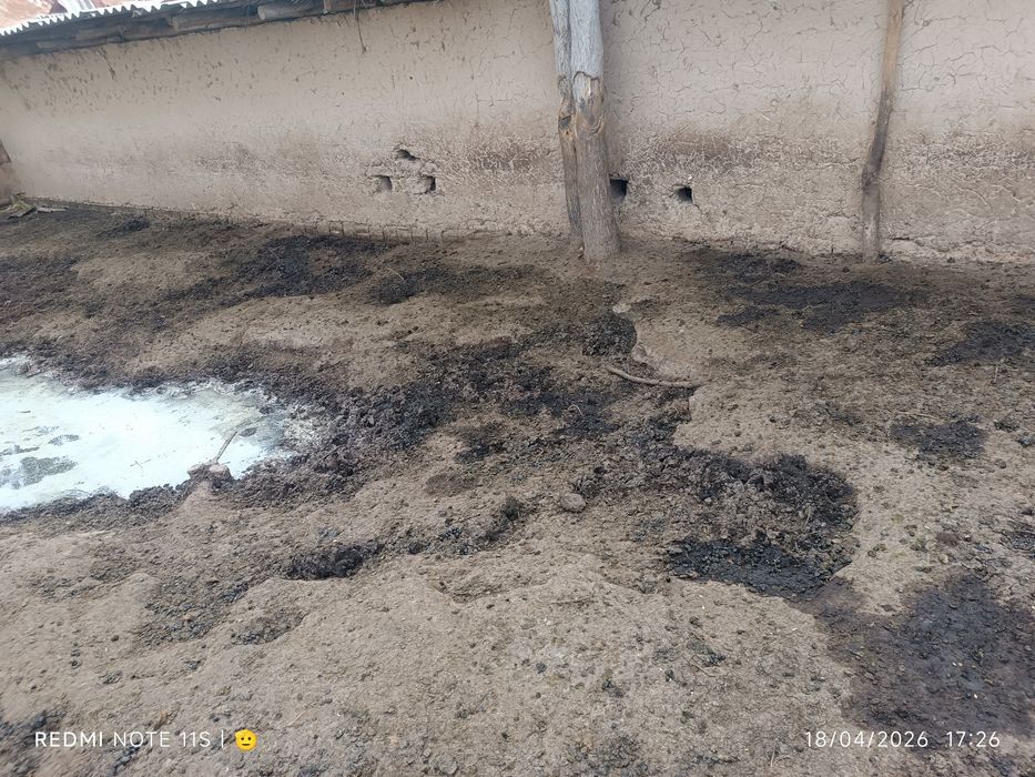 Nuri sotiladi NURI CHALMA QUYDIKI Moldiki