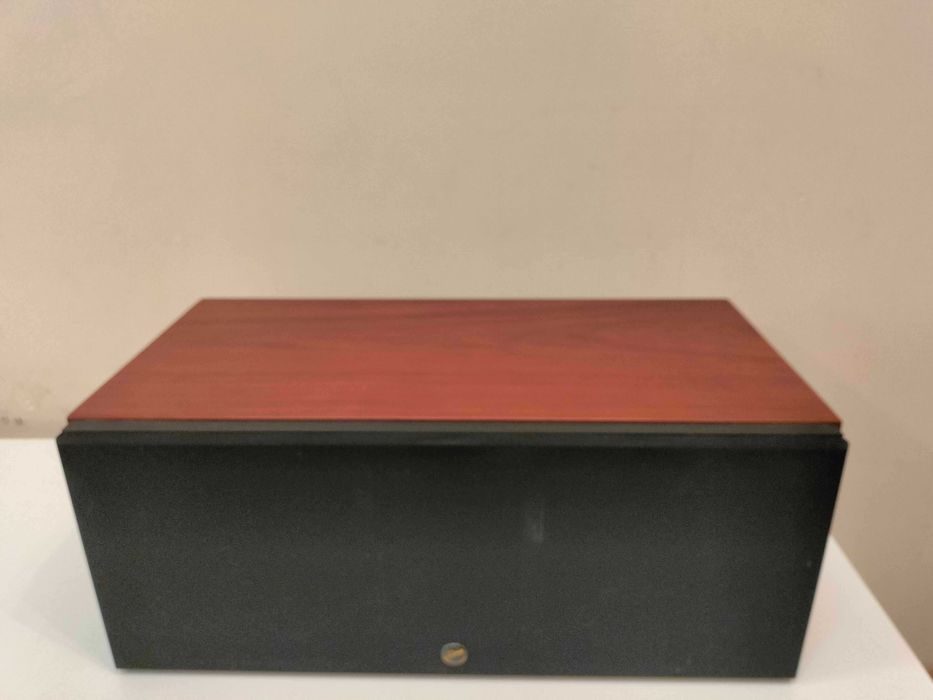 Центральная колонка SWANS RM600C